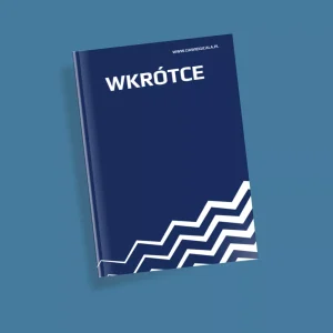 Jak skutecznie pozycjonować się w Google?